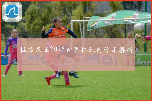 拉菲尼亚2026世界杯队内作用解析