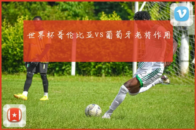 世界杯哥伦比亚vs葡萄牙老将作用